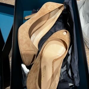 Sergio Rossi Beautiful heels, never worn, suede, in box